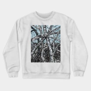 'Blue Ridge Ruminations #9' Crewneck Sweatshirt